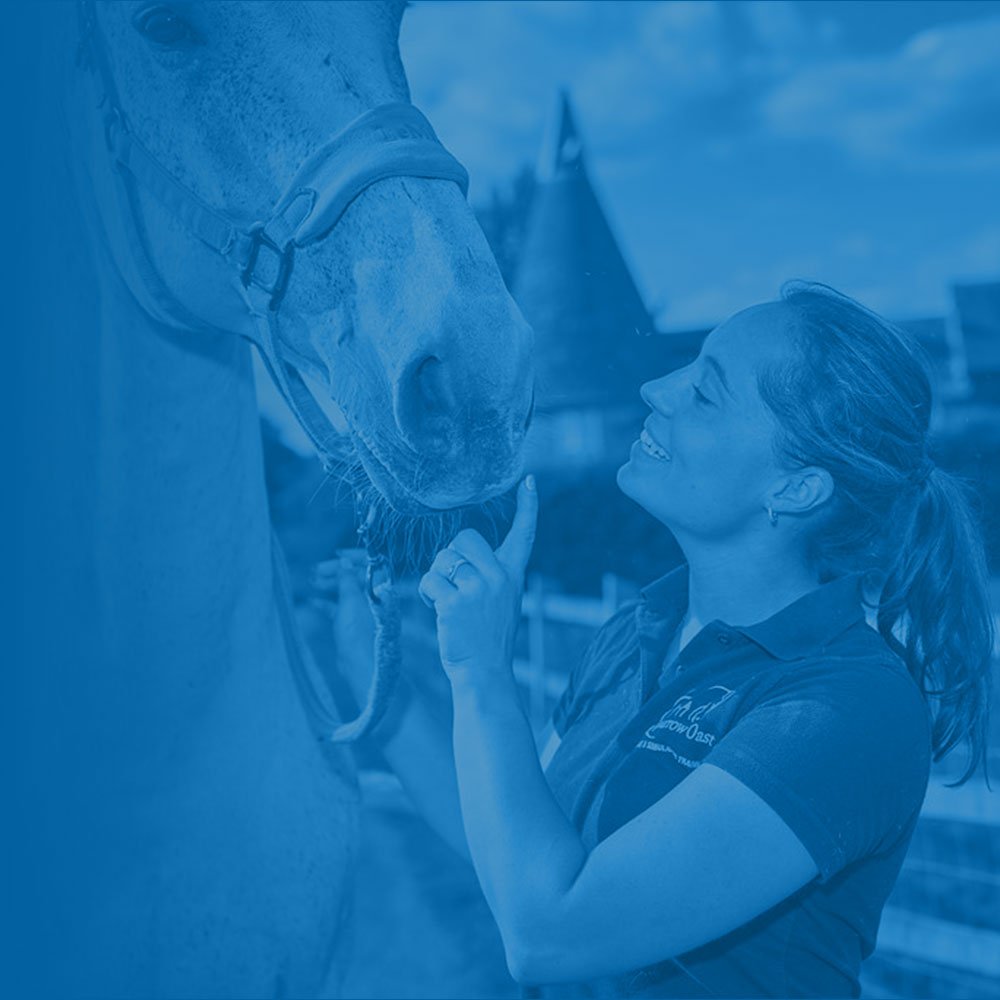Welcome to Sparrow Oast. Sparrow Oast has developed into a leading equestrian centre, looking at all aspects of horse and rider performance and wellbeing