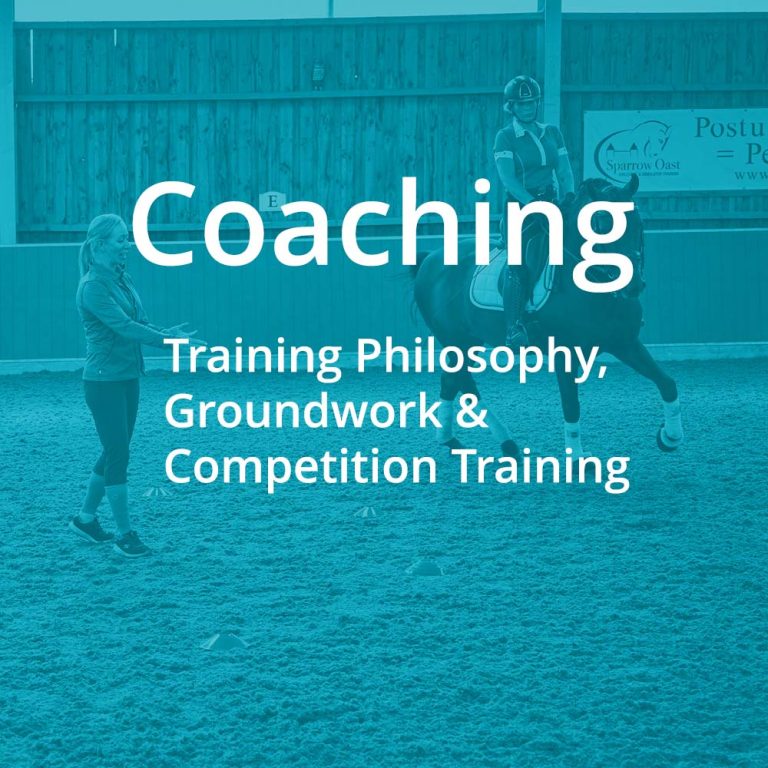 Coaching | Training Philosophy, Groundwork & Competition Training