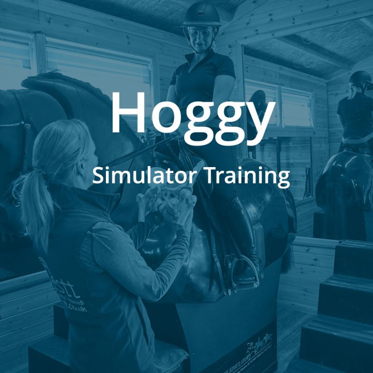 Hoggy | Simulator Training with Hoggy