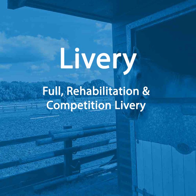 Livery | Full, Rehabilitation & Competition Livery